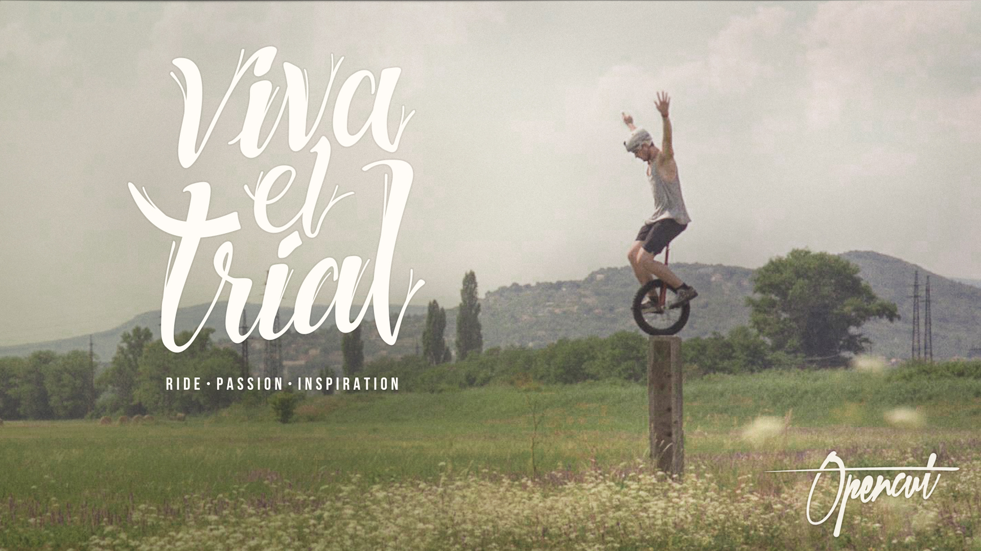 vivathumb_festival